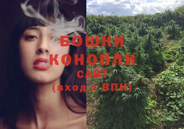 кокс Белокуриха