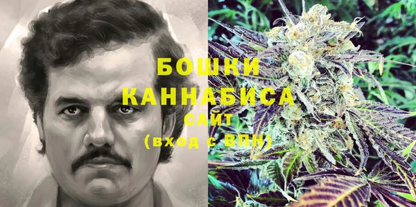 кокс Белокуриха