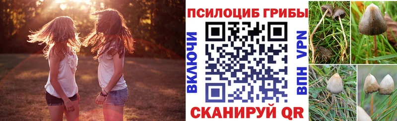 Галлюциногенные грибы Psilocybine cubensis  мориарти Telegram  Малаховка 